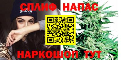 соль ск Обь