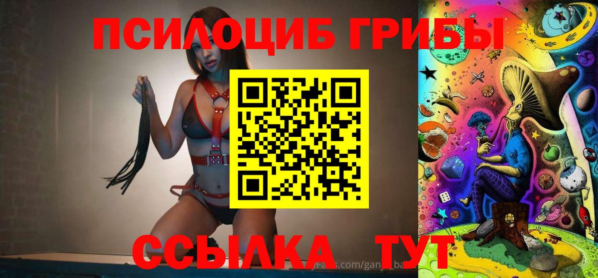 Галлюциногенные грибы Cubensis Севастополь