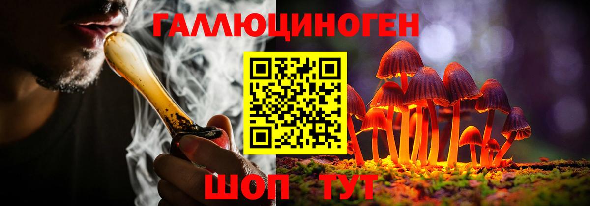 Псилоцибиновые грибы прущие грибы  купить   Севастополь  Вход с VPN 